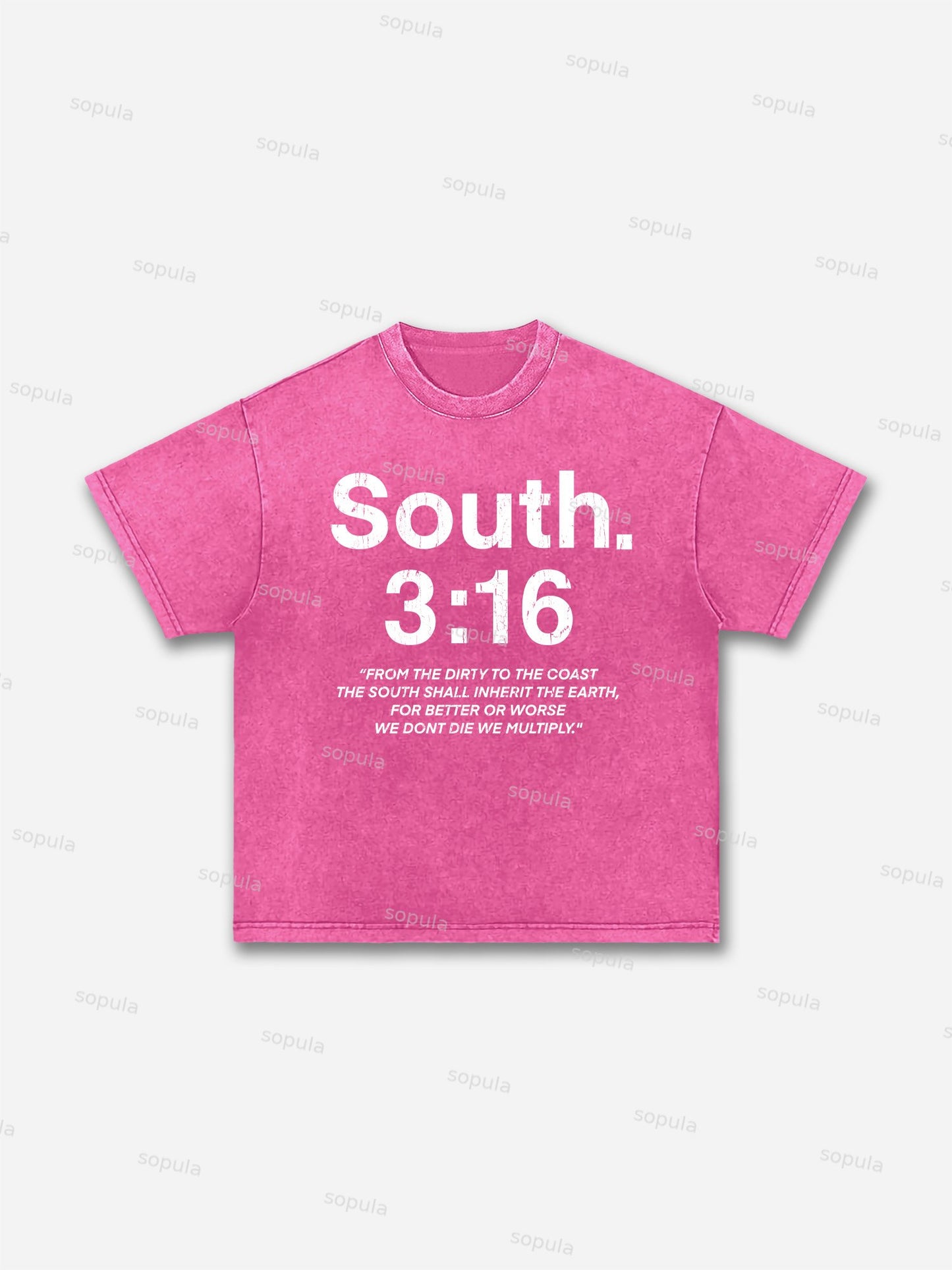 South 3:16 Placard Graphic Acid Wash T-shirt