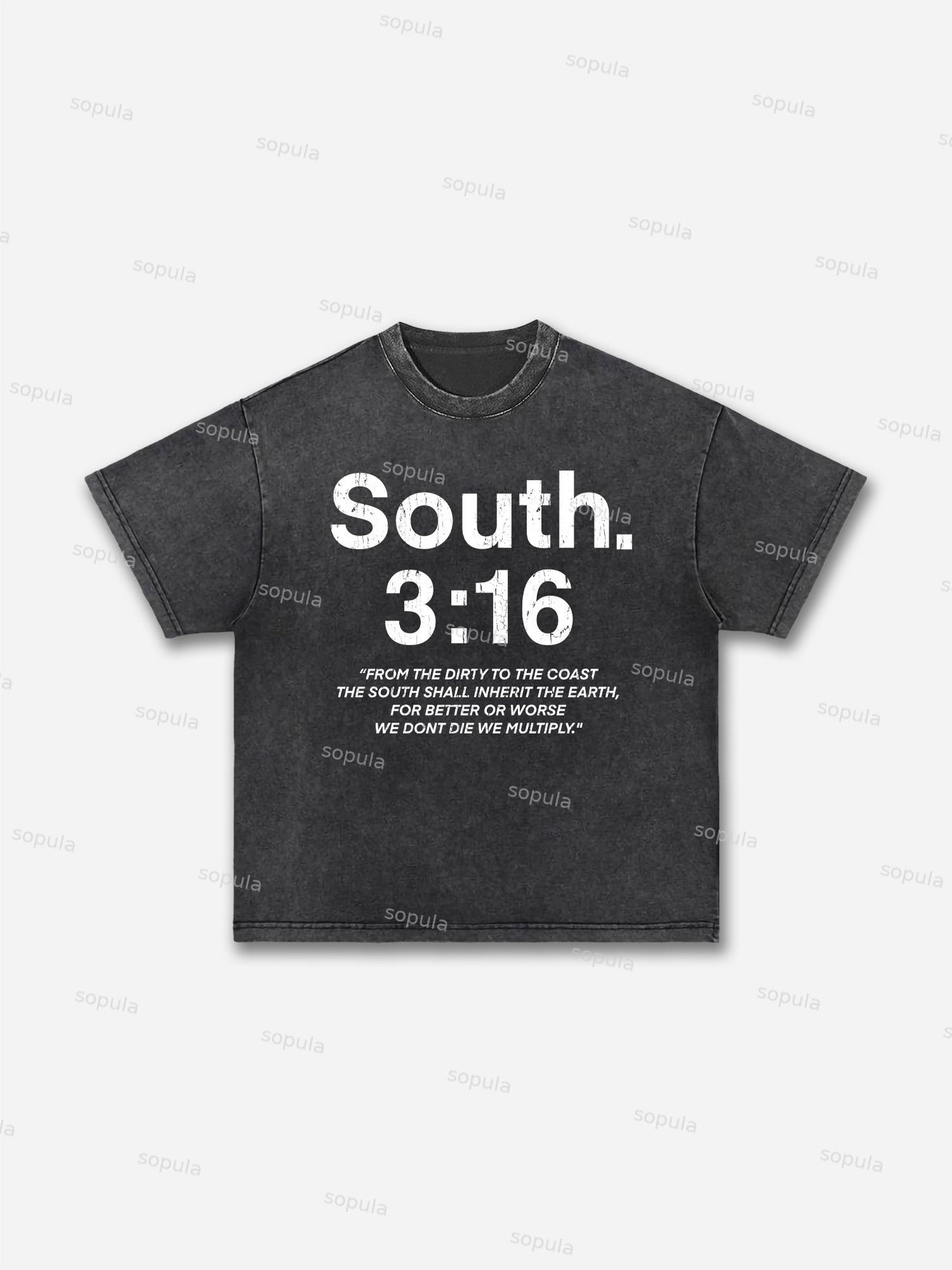South 3:16 Placard Graphic Acid Wash T-shirt