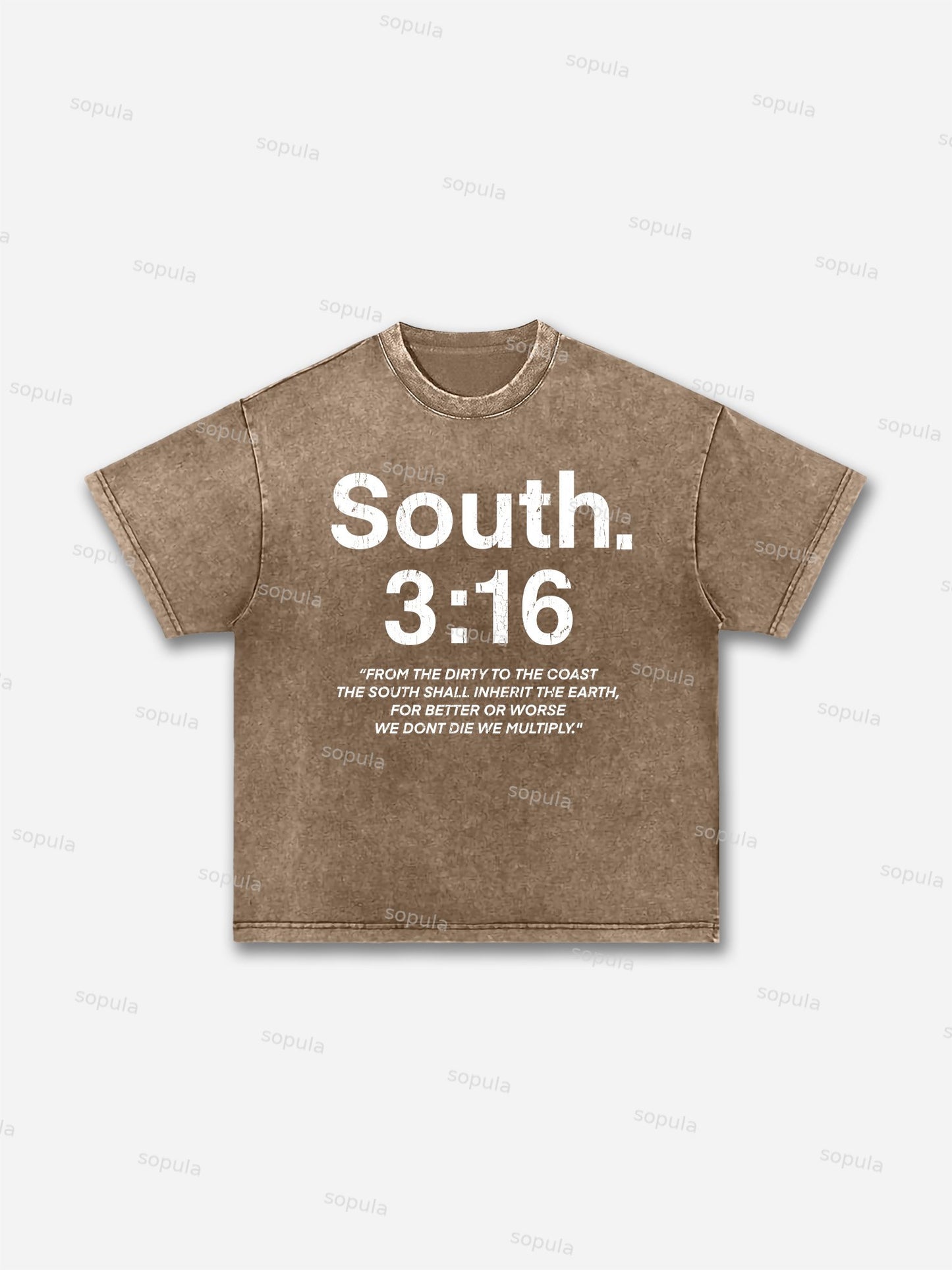 South 3:16 Placard Graphic Acid Wash T-shirt