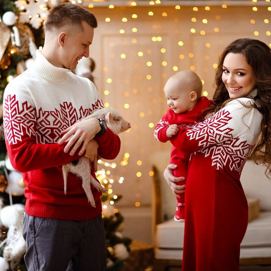 Matching Christmas Sweaters For Family BigBeryl
