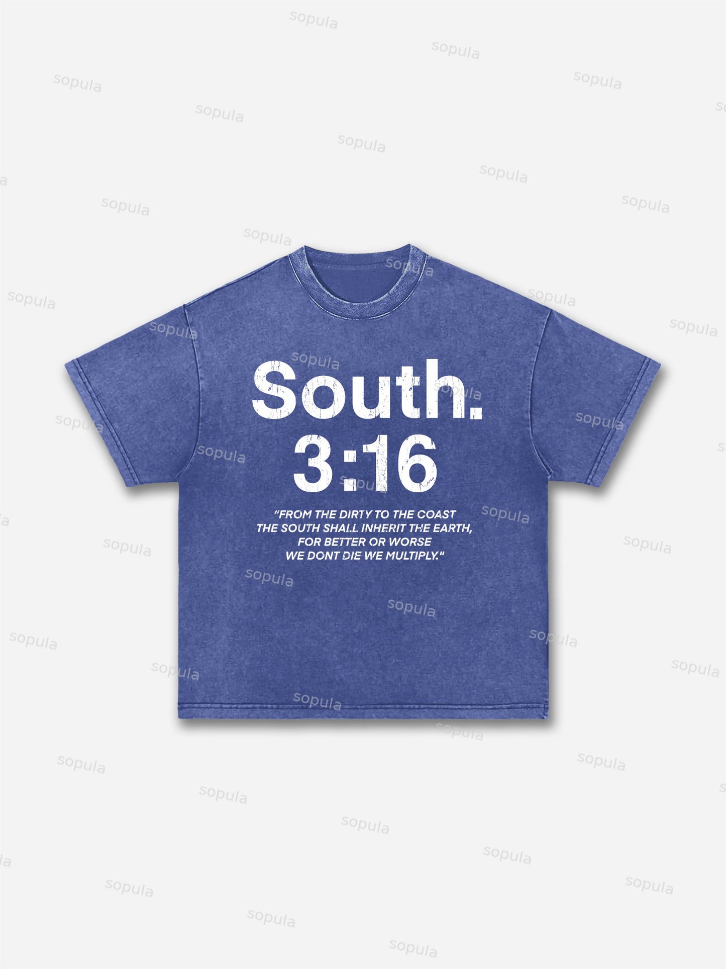 South 3:16 Placard Graphic Acid Wash T-shirt