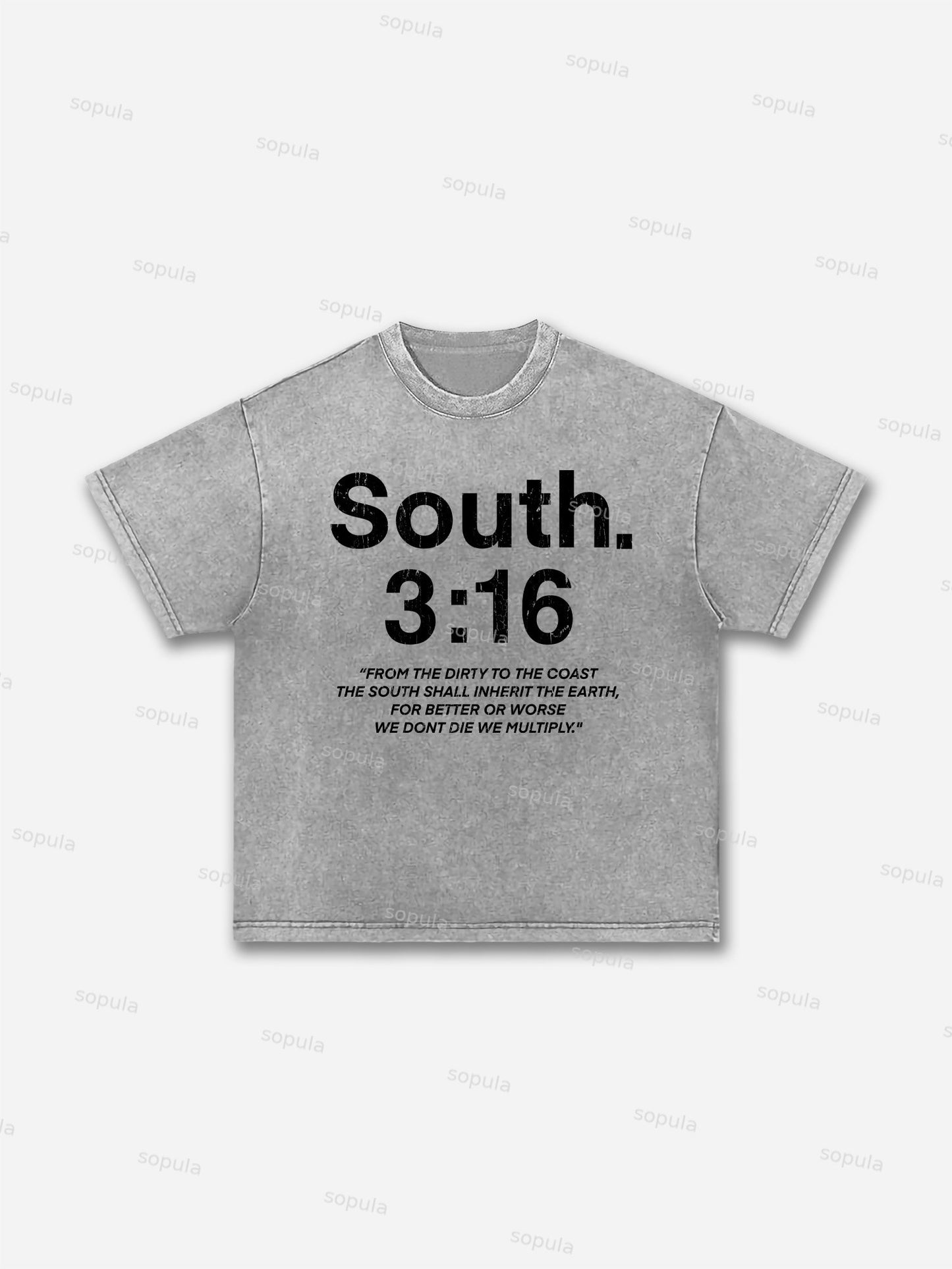 South 3:16 Placard Graphic Acid Wash T-shirt