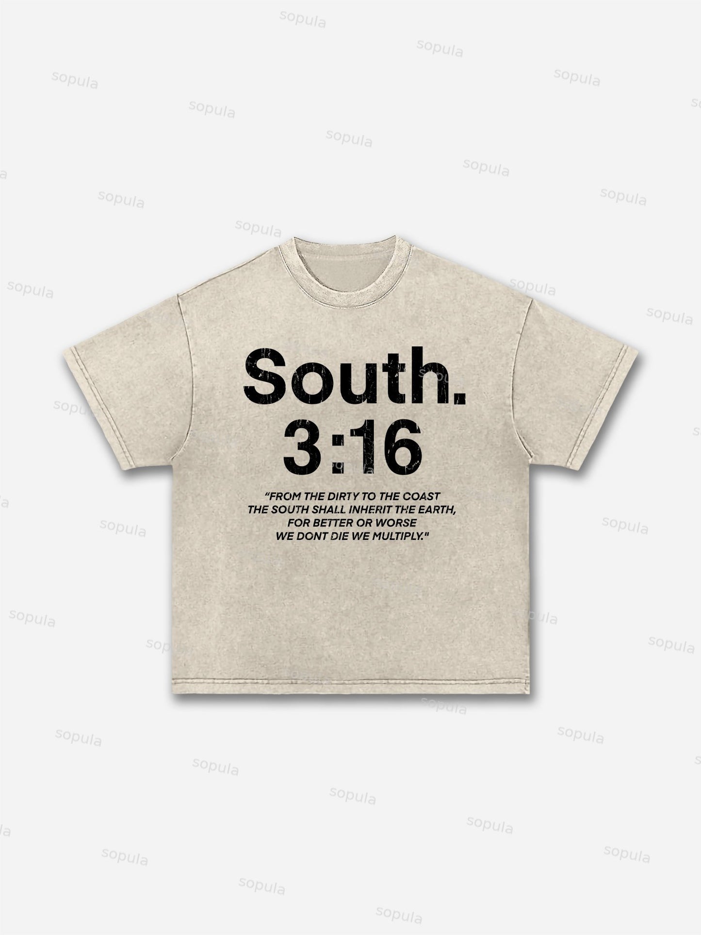 South 3:16 Placard Graphic Acid Wash T-shirt